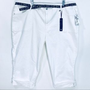 ⬇️ Gloria Vanderbilt Capri Avery Skim Slim Effect